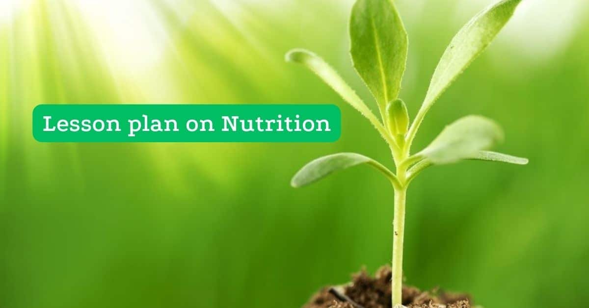 Lesson Plan On Nutrition