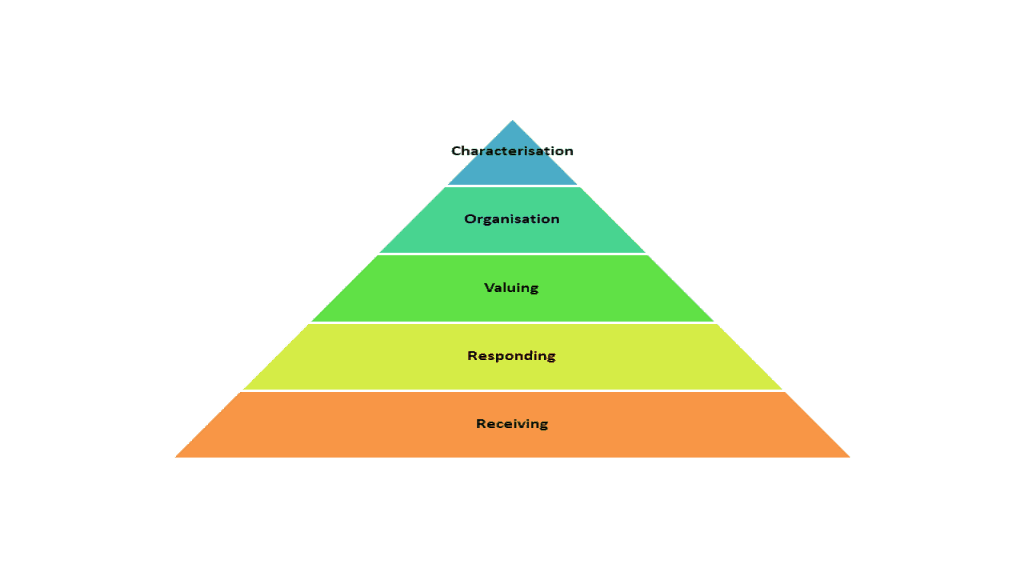 Five level of Affective domain