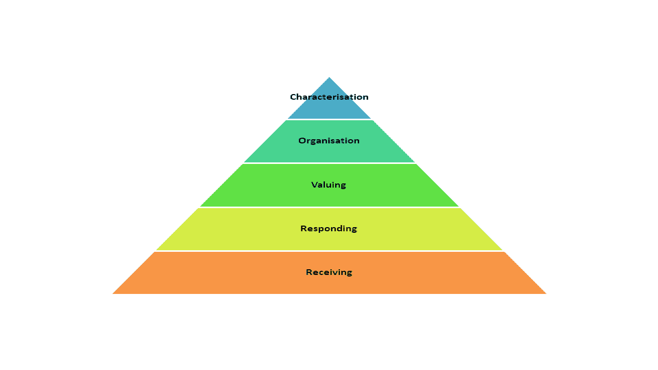 What Are The Three Domains Of Bloom's Taxonomy?
