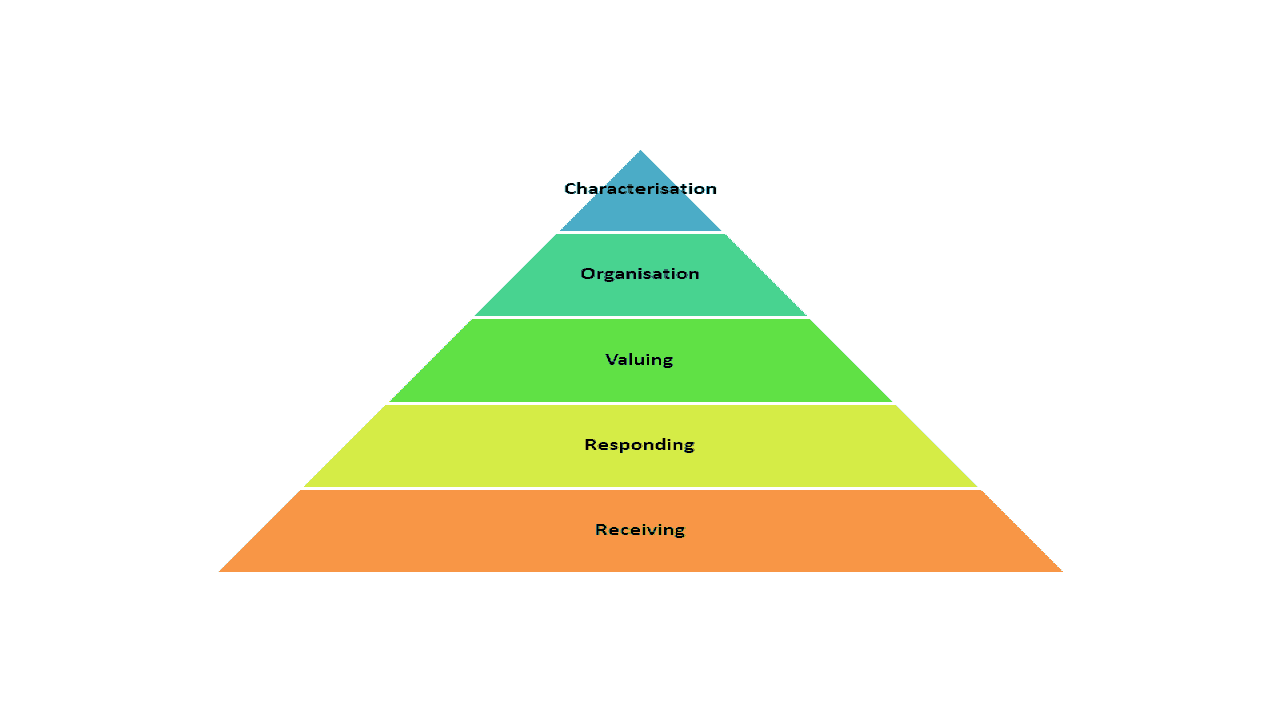 what is affective domain