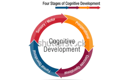 Jean piaget cognitive theory in online hindi