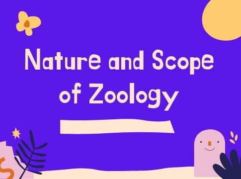 Nature and Scope of Zoology-B.Ed Notes