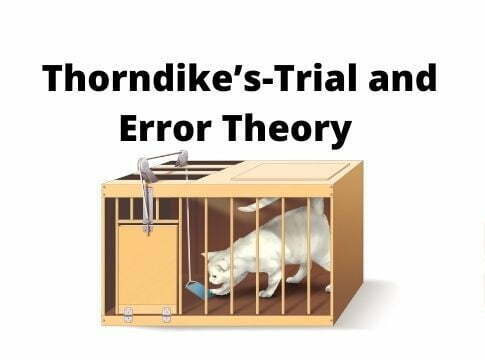 trial & error theory of learning