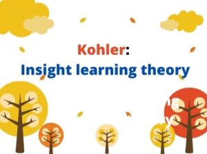Kohler Learning by Insight theory