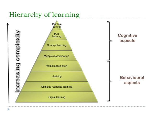 Gagne Conditions of Learning | Gagne’s Taxonomy of Learning with example