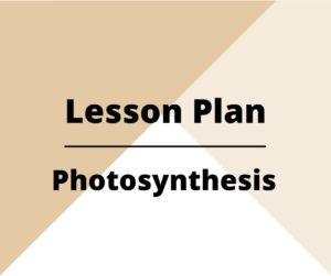 Lesson plan on Photosynthesis