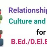Relationship between Education and Culture